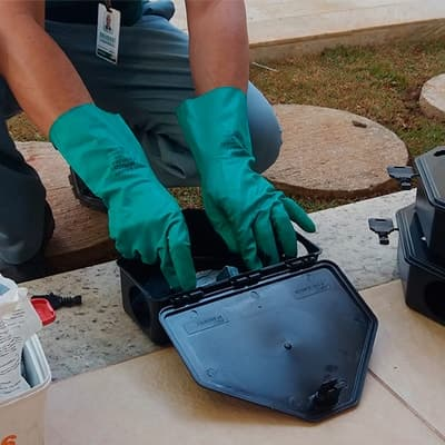 DESRATIZAÇÃO na Vila Rubi